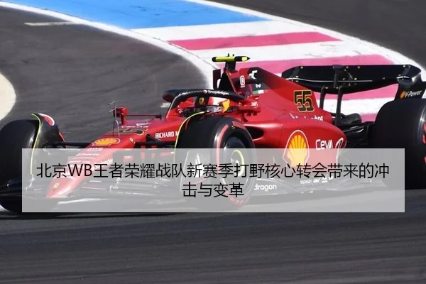 北京WB王者荣耀战队新赛季打野核心转会带来的冲击与变革